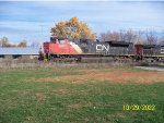 CN 8904